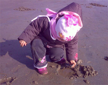 在海边挖沙子